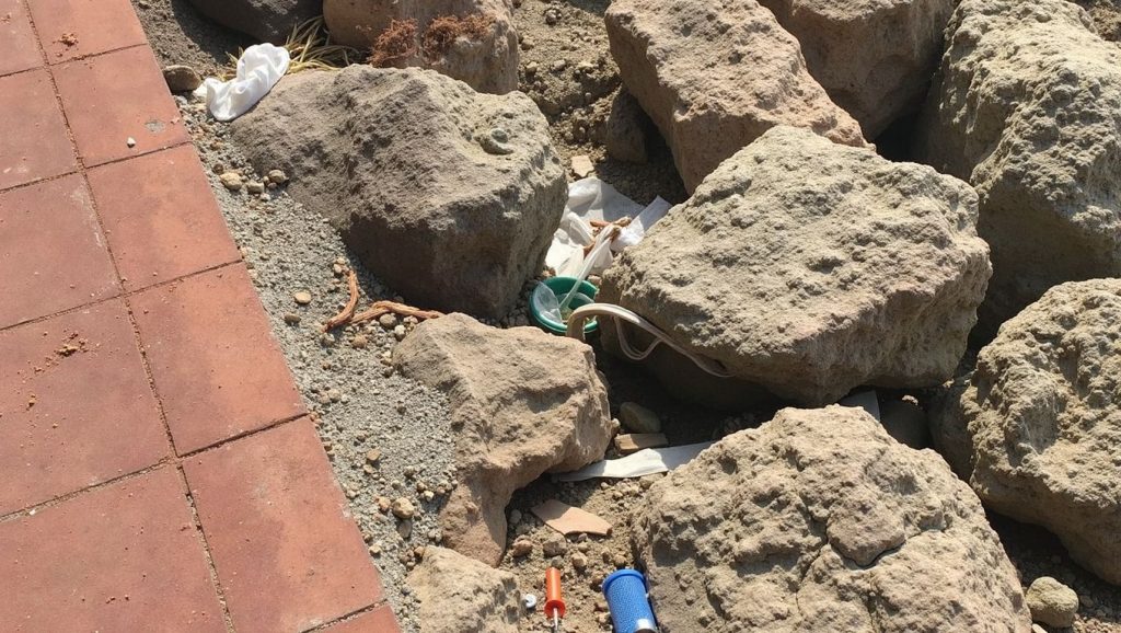 Entorno de Playa de la Araña, Málaga, Málaga