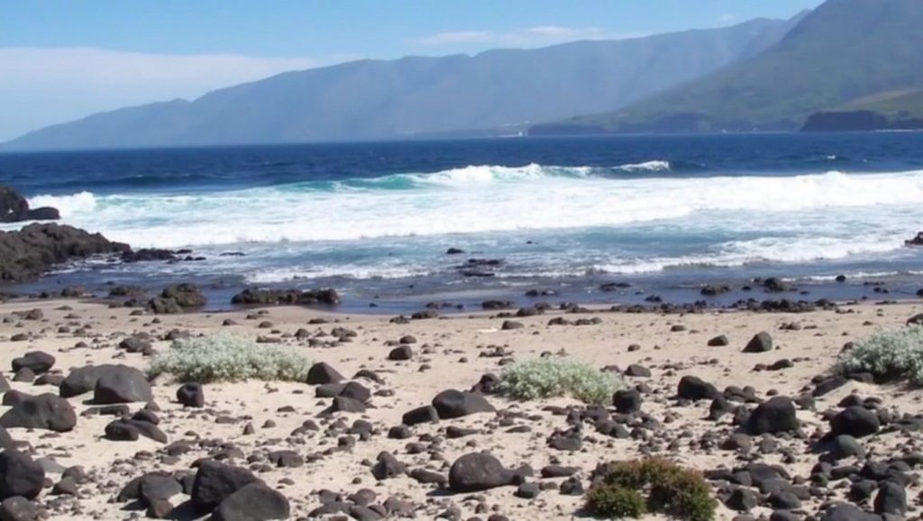 Playa de la Arena — foto 3 de 6