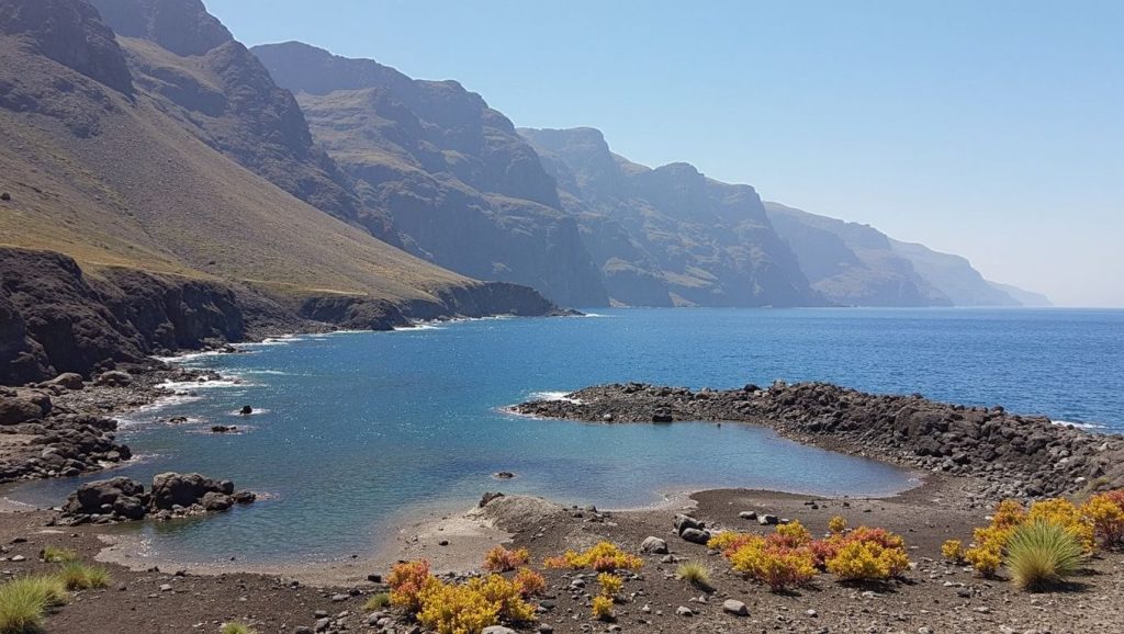 Panorámica de Playa de la Ballenita, Tenerife