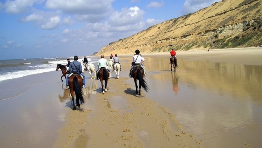 Oleaje en la orilla de Playa de la Fontanilla, costa de Moguer