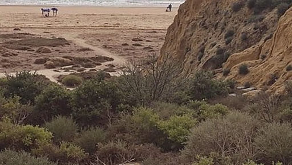 Alrededores de Playa de la Fontanilla, Moguer