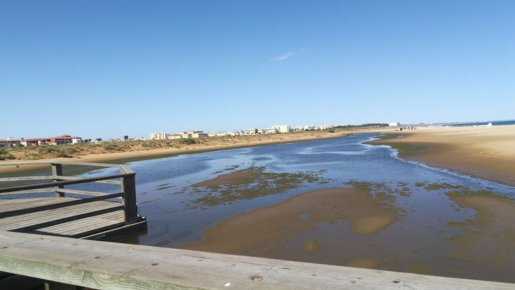 Foto de Playa de la Gaviota / Punta del Caimán