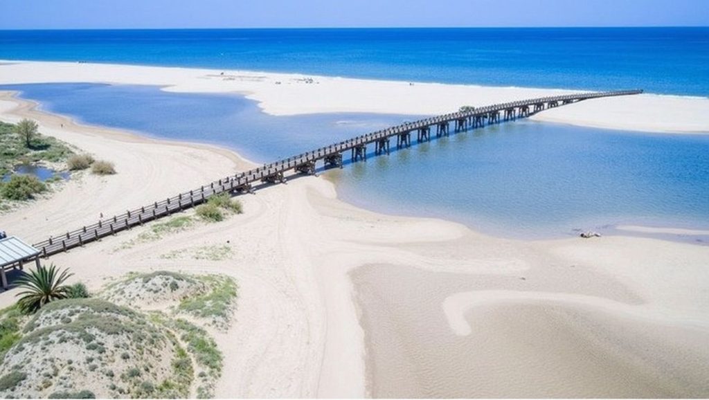 Foto de Playa de la Isla de las Gaviotas