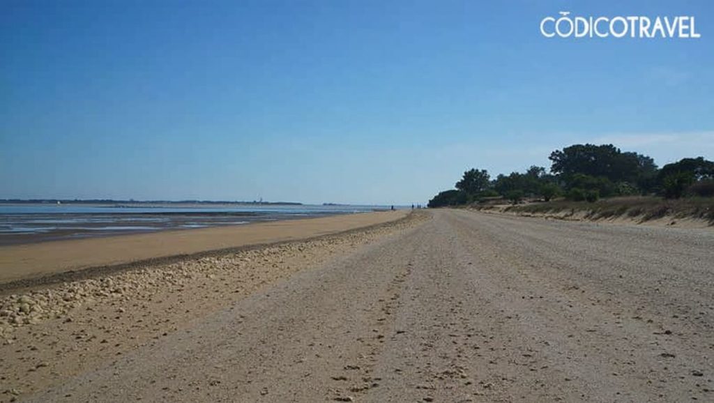 Primer plano de la orilla de Playa de la Jara, Sanlúcar de Barrameda