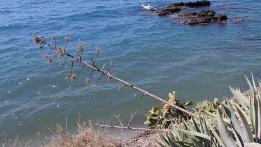 Primer plano de la orilla de Playa de La Juana, Adra