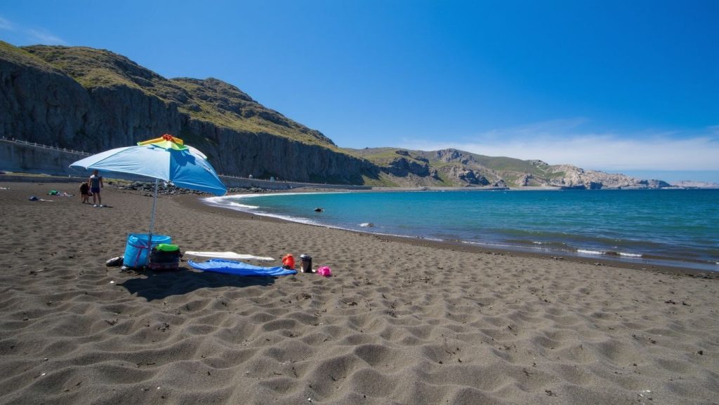 Arena de Playa de La Laja, Haría (Lanzarote)