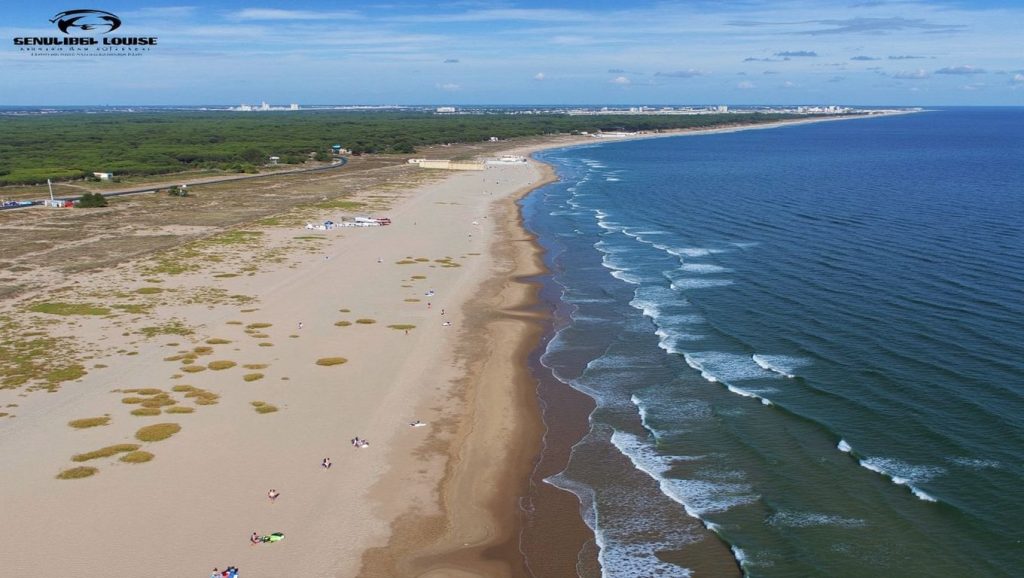 Foto de Playa de la Mata Negra