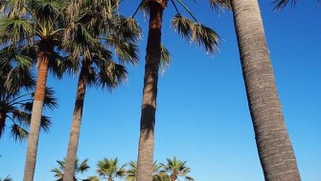 Playa de la Rada — foto 5 de 6