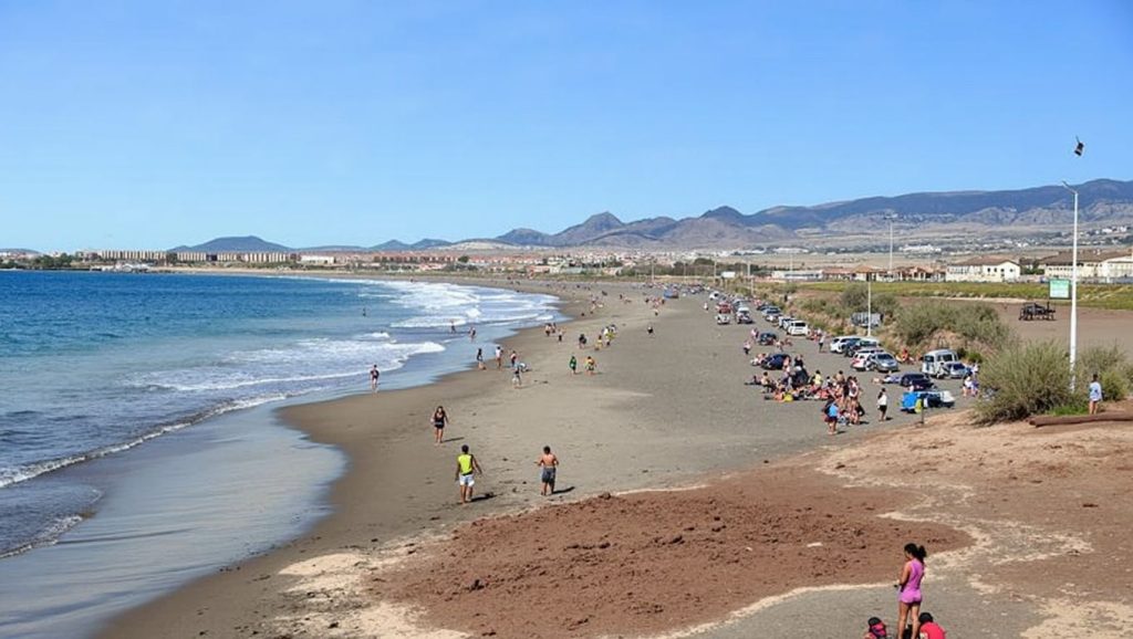 Entorno natural de Playa de la Tejita zona naturista en Tenerife