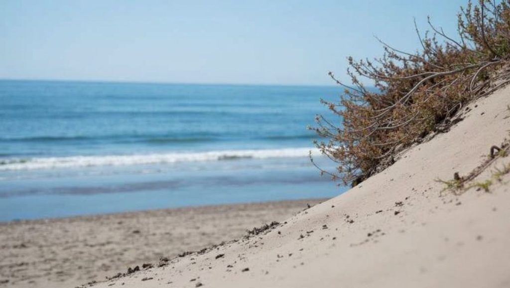 Playa de La Víbora — foto 2 de 6