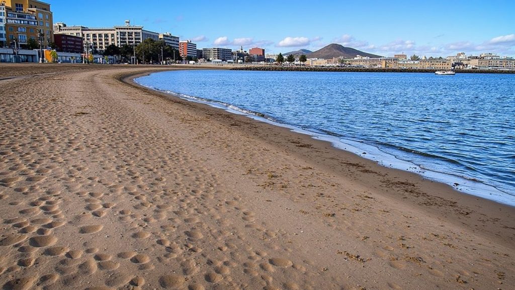 Panorámica de Playa de Las Alcaravaneras, Gran Canaria