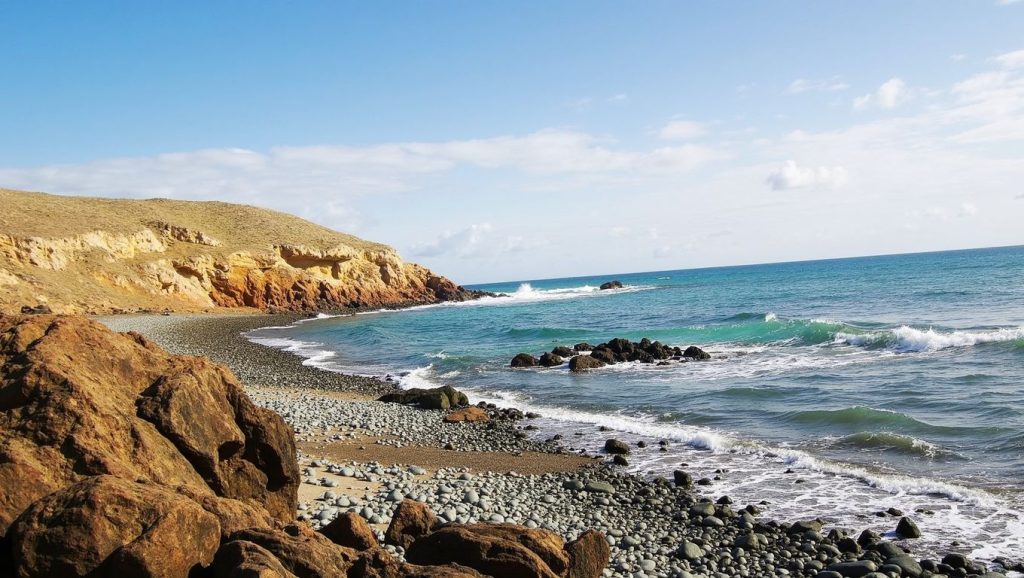 Arena de Playa de Las Carpinteras, San Bartolomé de Tirajana (Maspalomas) (Gran Canaria)