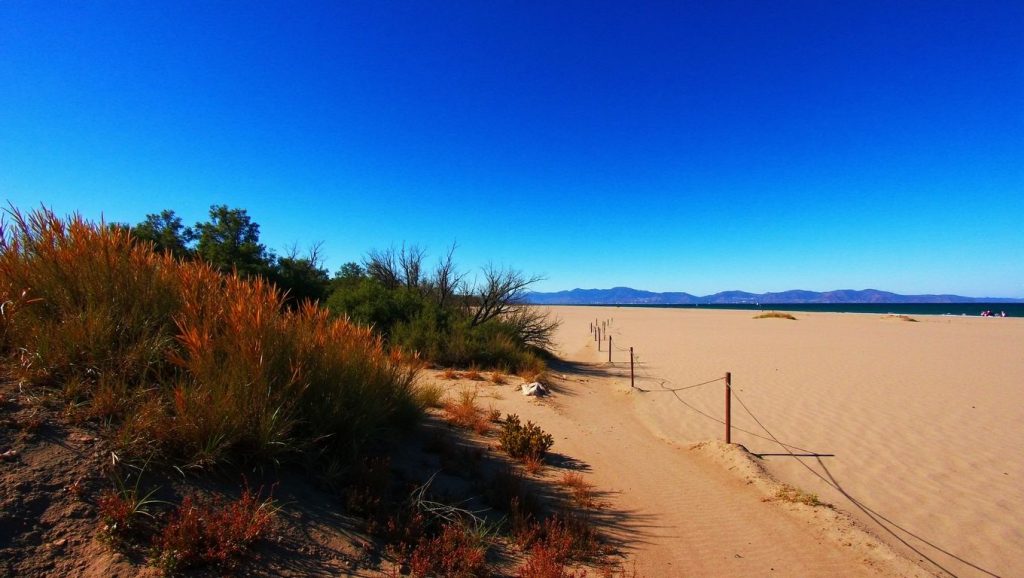 Foto de Playa de las Dunas