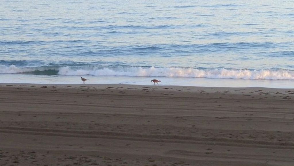 Entorno de Playa de Las Gaviotas, Roquetas de Mar, Almería