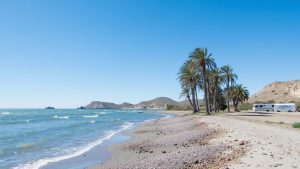 Playa de las Palmeras