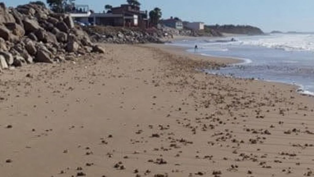 Detalle del agua en Playa de las Tres Piedras, Chipiona, Cádiz