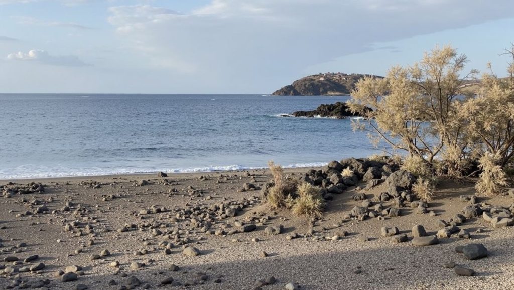 Arena de Playa de los Abriguitos, Arico (Tenerife)