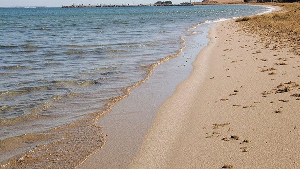 Playa de Los Nietos — foto 2 de 6