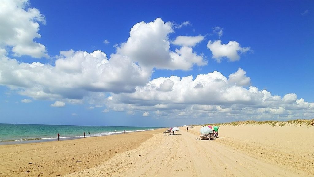 Orilla tranquila de Playa de Mangueta, playa de Vejer de la Frontera