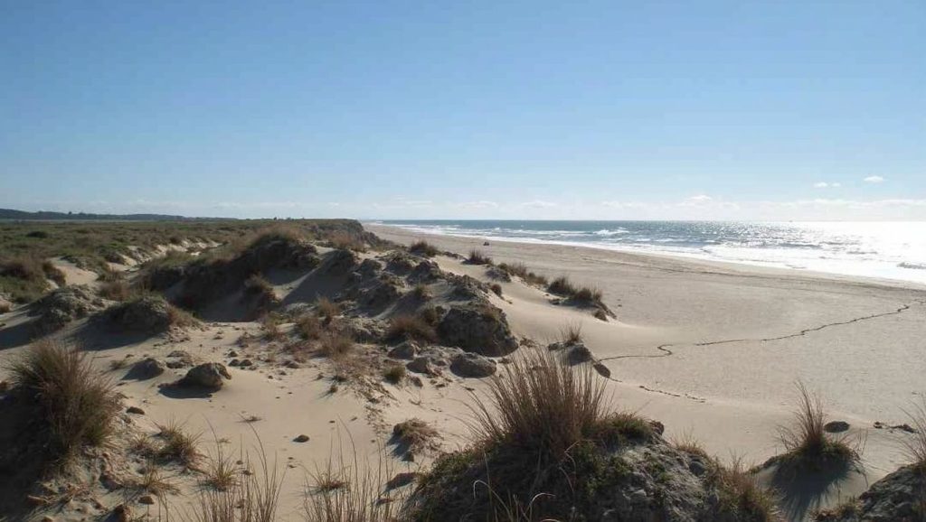 Detalle de arena y agua en Playa de Mangueta, Vejer de la Frontera