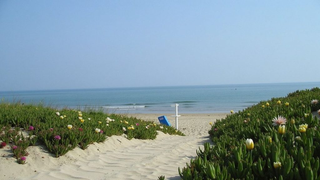 Playa de Oliva — foto 3 de 6
