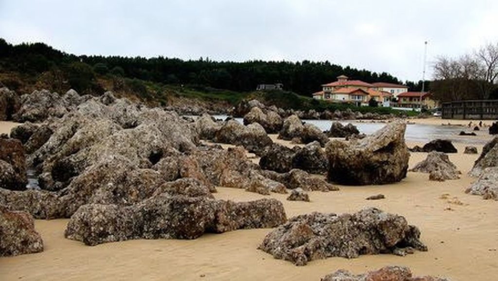 Arena de Playa de Palombina, Asturias (Asturias)
