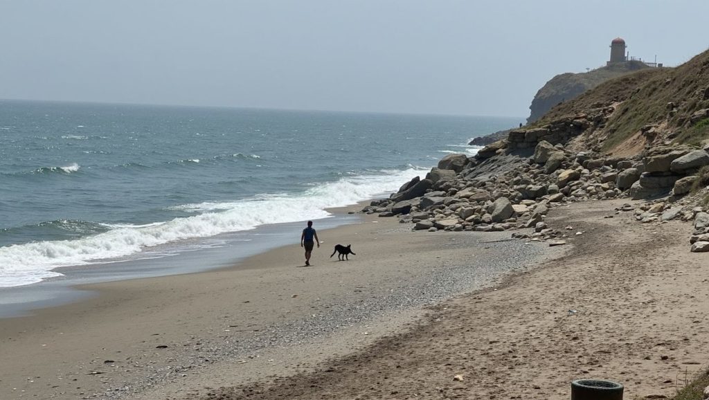 Camino de acceso a Perros El Perulejo, Mojácar, Almería