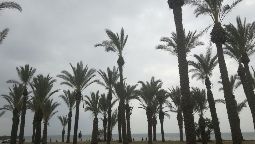 Playa de Playamar — foto 4 de 6