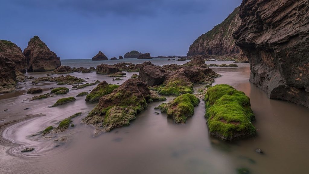 Entorno natural de Playa de Porcía en Asturias