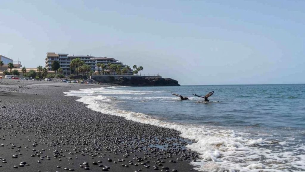 Aguas de Playa de Puerto Naos en Tazacorte (La Palma)