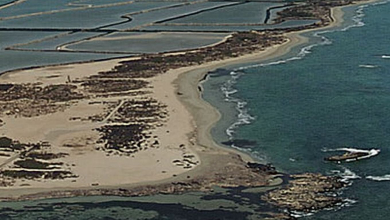 Playa de Punta de Algas (San Pedro del Pinatar, Murcia)