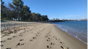 Playa de Río San Pedro