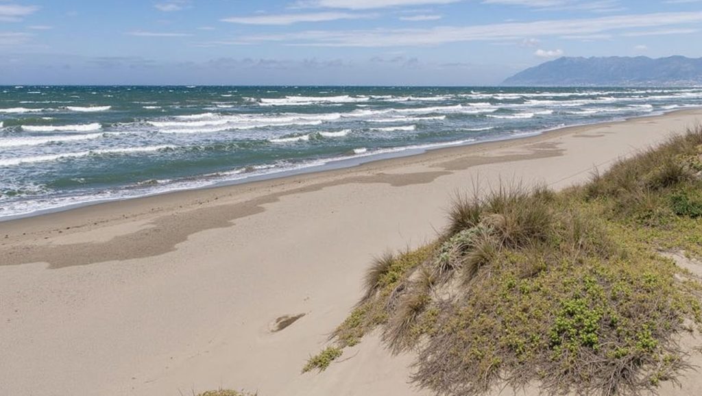 Playa de Real de Zaragoza — foto 2 de 6