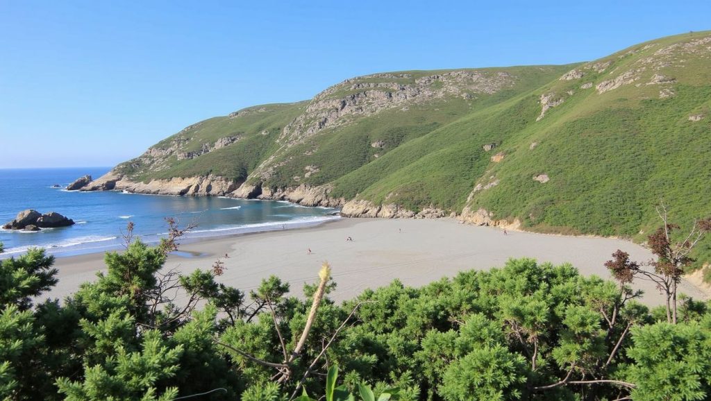 Foto de Playa de Requexinos