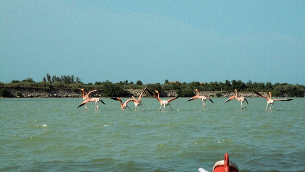 Acceso a Playa de San Bruno desde el aparcamiento, Ayamonte