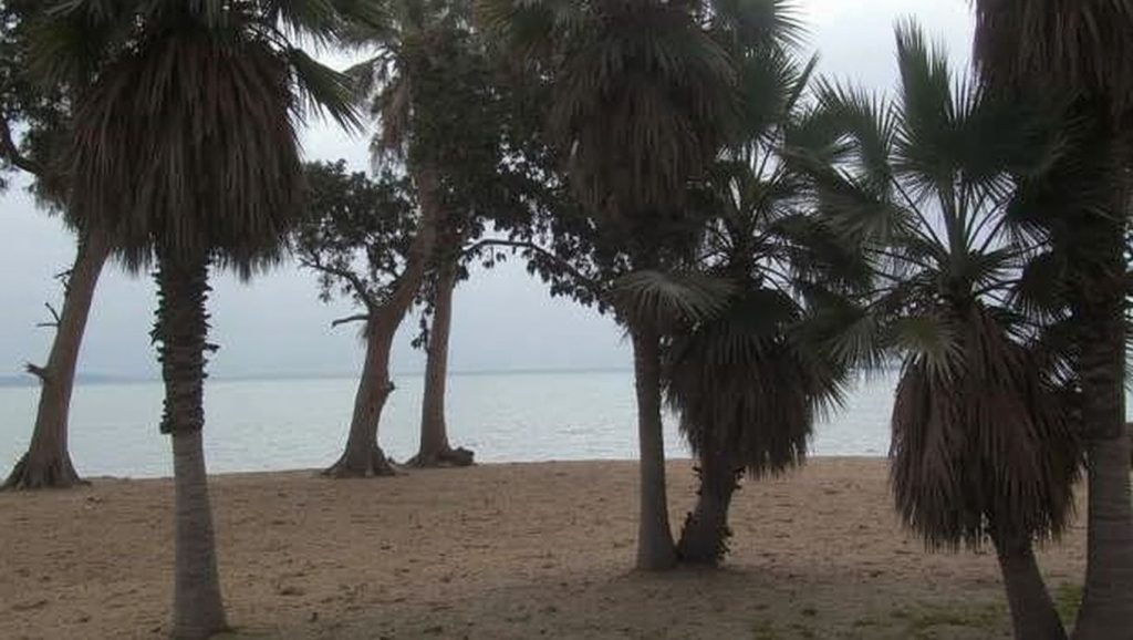 Playa de San Pedro Alcántara — foto 4 de 6