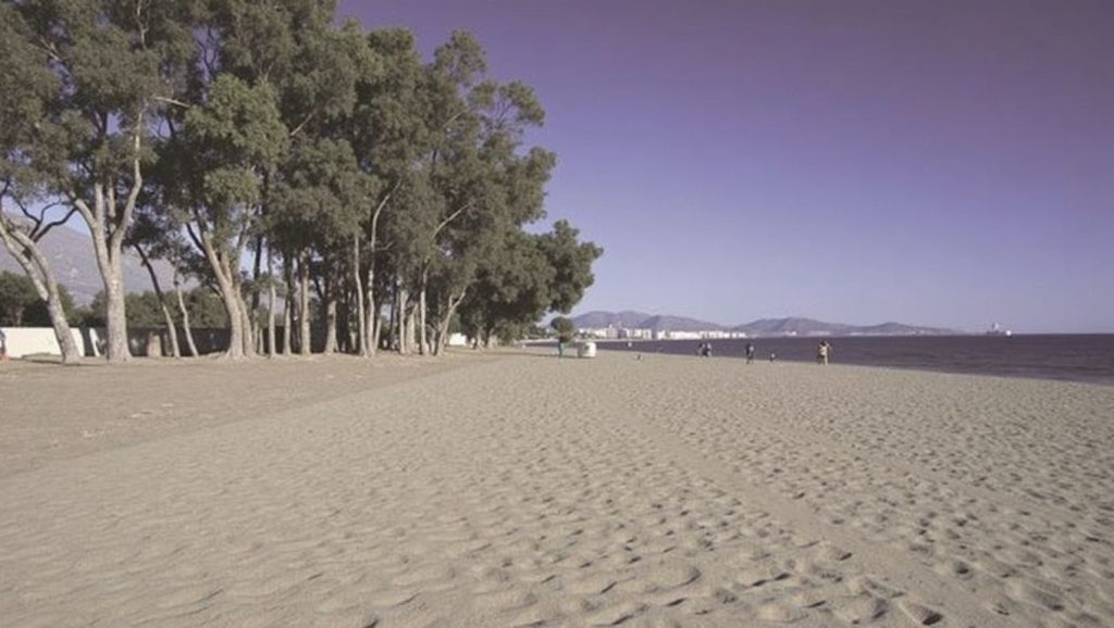 Playa de San Pedro Alcántara — foto 5 de 6