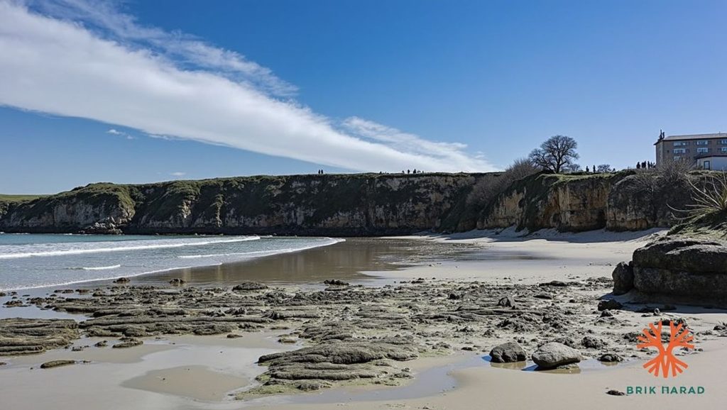 Entorno natural de Playa de Santa Gadea en Asturias