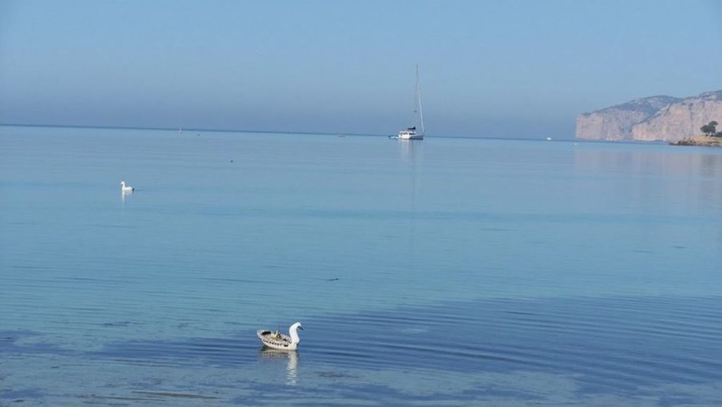 Panorámica de Playa de Santa Ponça con cielo despejado, Calvià