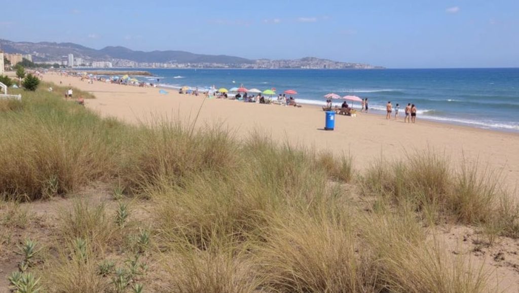 Foto de Playa de Tavernes de la Valldigna