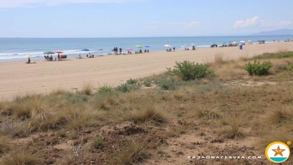 Foto de Playa de Tavernes de la Valldigna