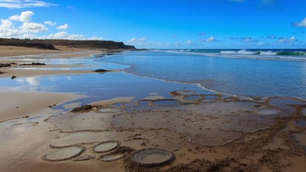 Arena volcánica de Playa del Aljibe, La Oliva (Fuerteventura)