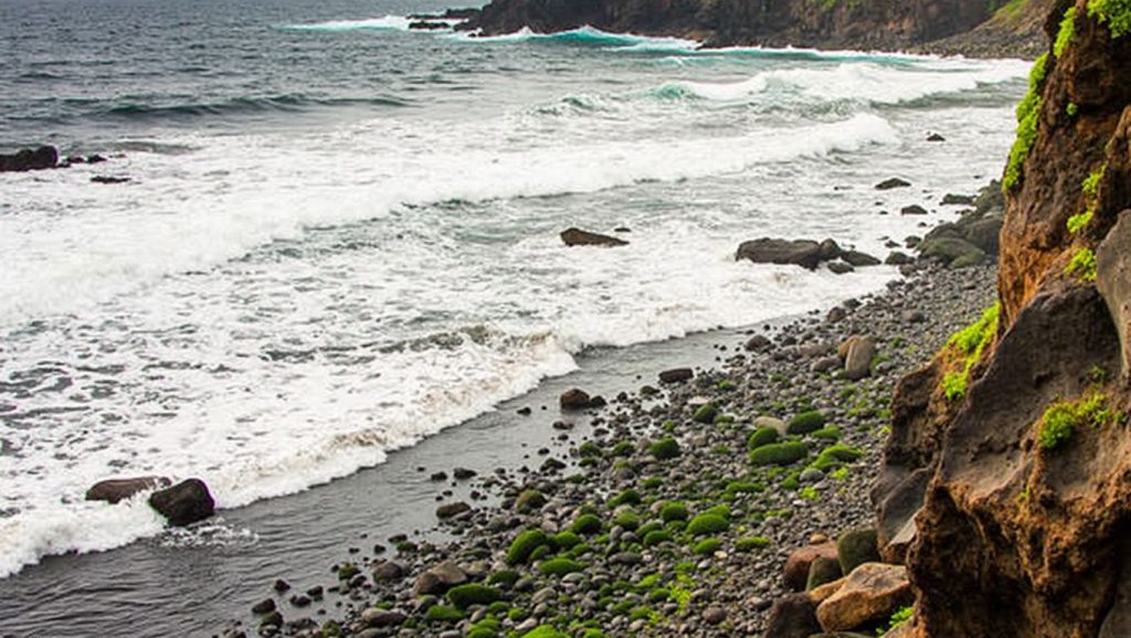 Acantilados y costa de Playa del Ancón, Santa Úrsula (Tenerife)
