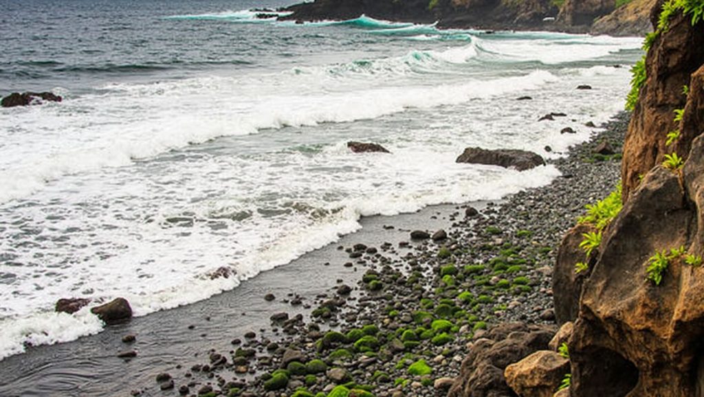 Arena volcánica de Playa del Ancón Grande, Vallehermoso (La Gomera)