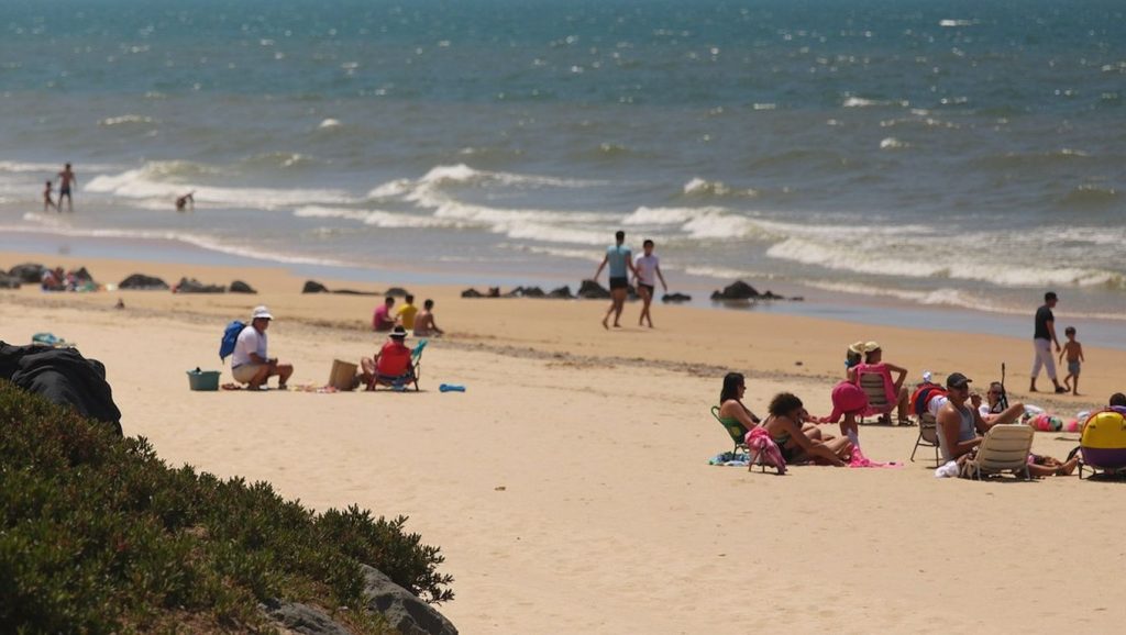 Paseo hacia Arenosillo, Moguer