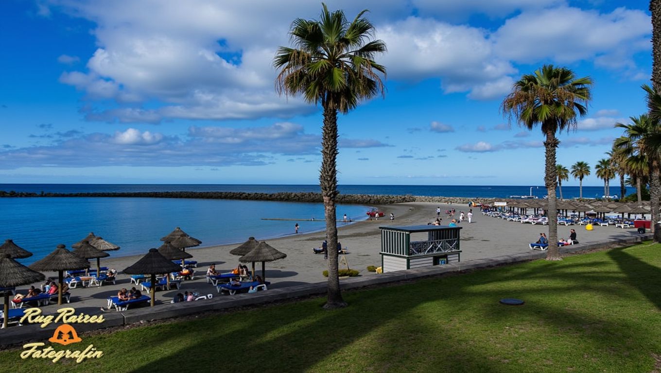 Playa del Camisón, Arona, Tenerife
