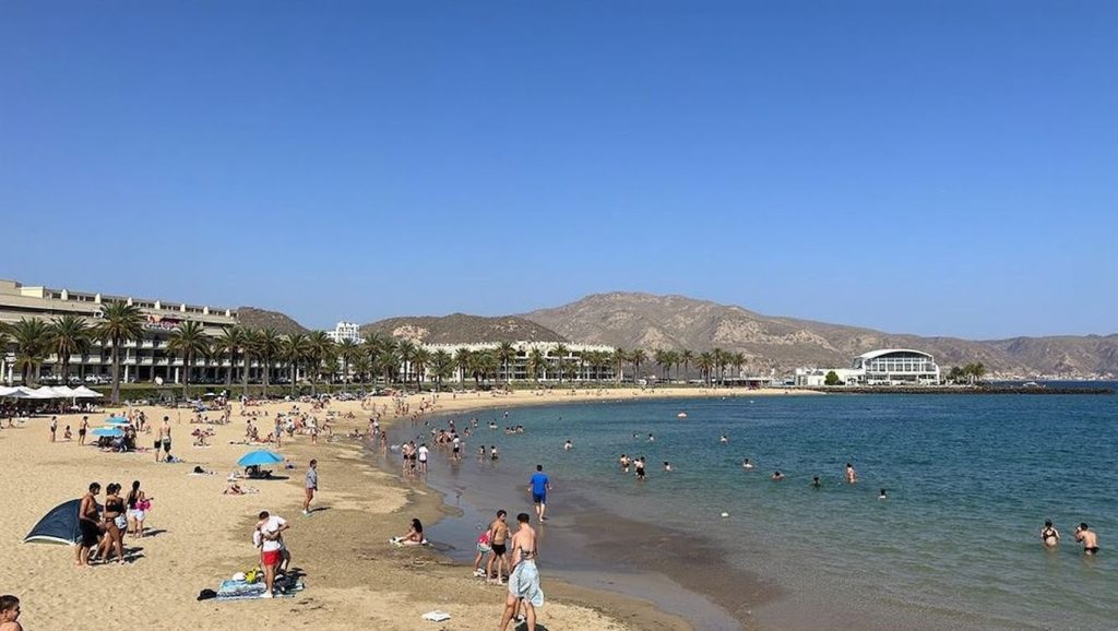 Entorno natural de Playa del Camison en Tenerife
