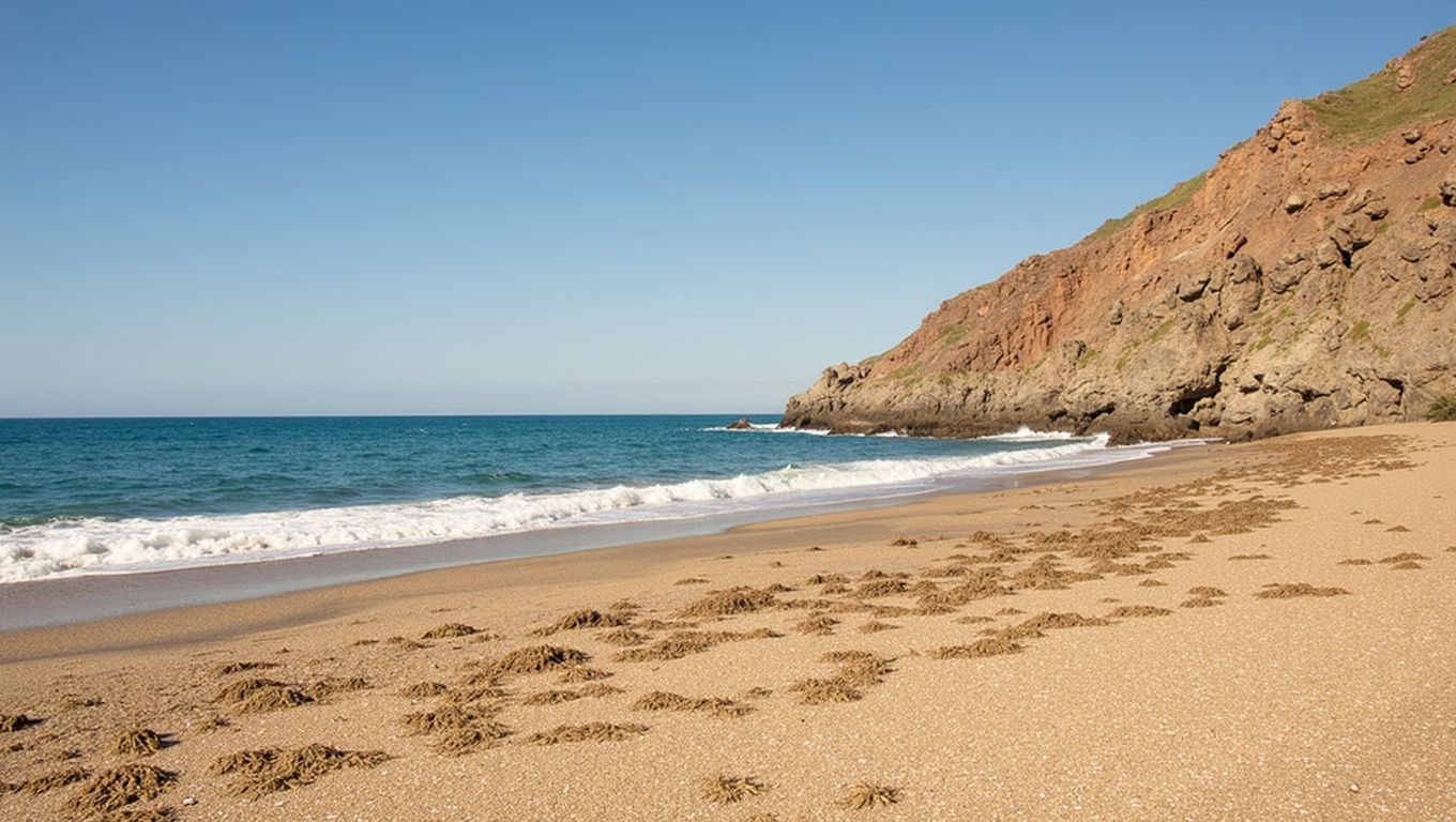 Playa del Corralete (Níjar, Almería)