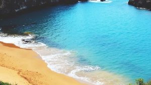 Playa del Gomero