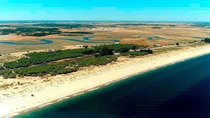 Playa del Hoyo